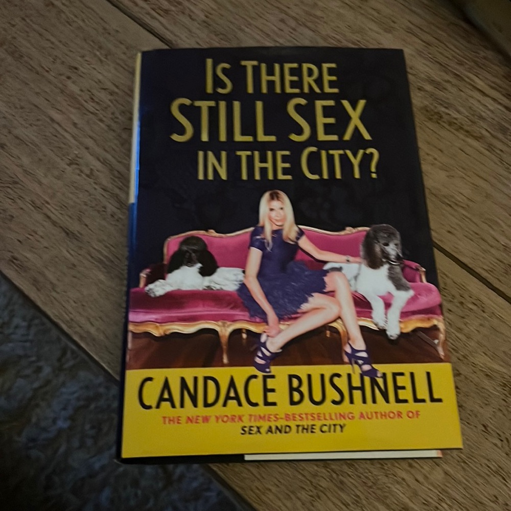 Is there still Sex In the City? By Candace Bushell perfect condition